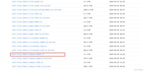 Kali Linux虛擬機配置流程及其在網(wǎng)絡(luò)與信息安全軟件開發(fā)中的應(yīng)用